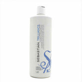 Conditioner Trilliance Shine (1 L) - Sebastian Maroc - Aylal Beauty
